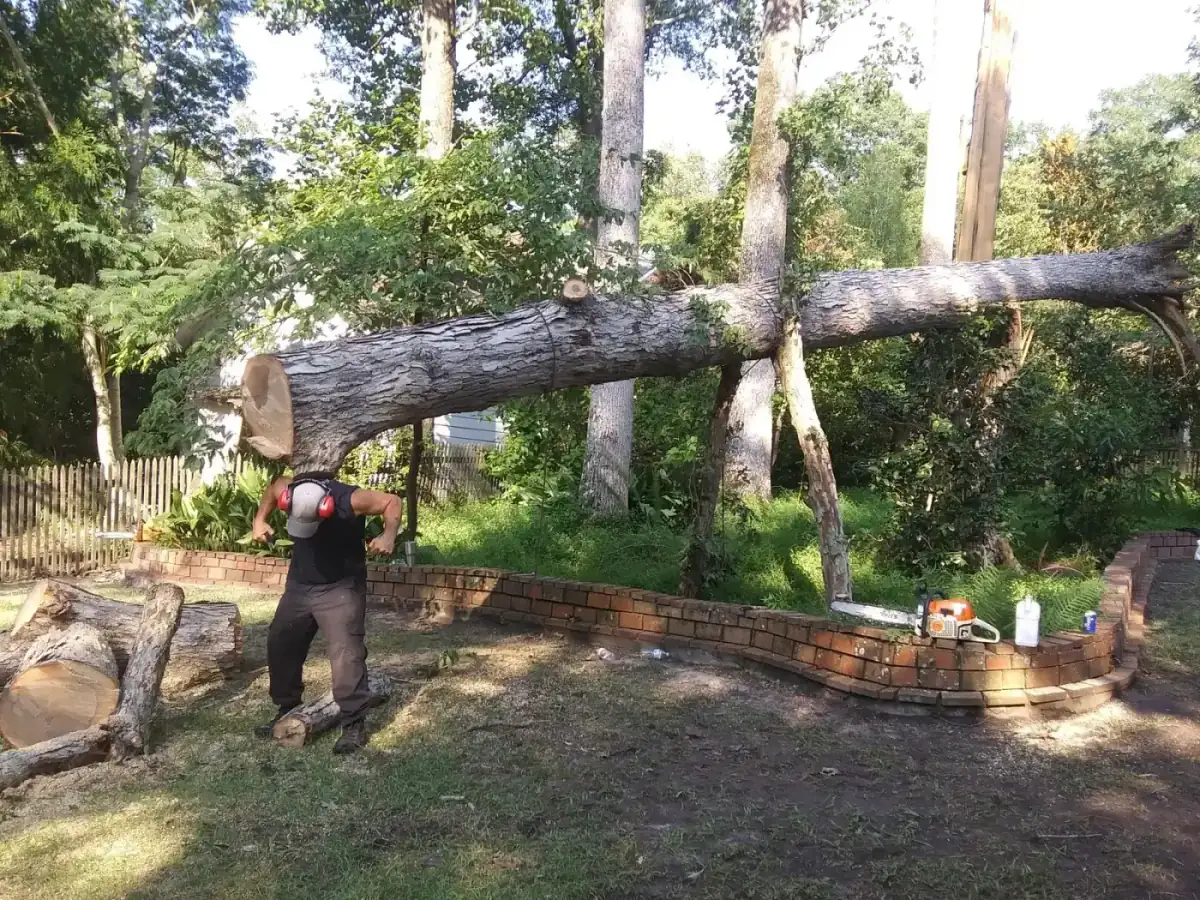 Project #01 — Trip's Tree Service, Wilmington NC