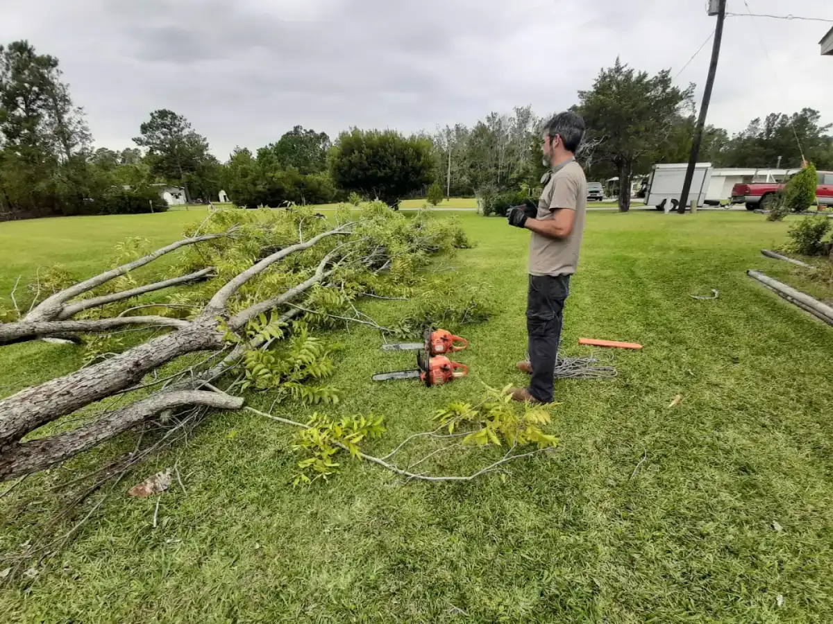 Project #05 — Trip's Tree Service, Wilmington NC