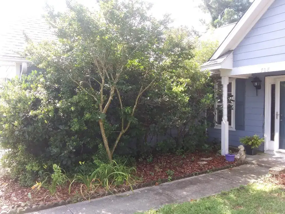 Project #06 — Trip's Tree Service, Wilmington NC