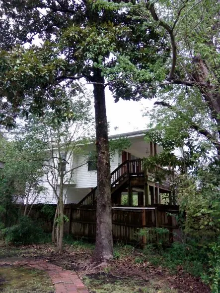 Project #07 — Trip's Tree Service, Wilmington NC